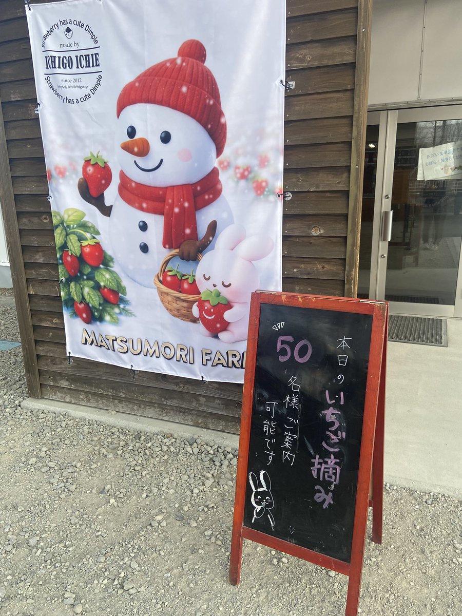 本日のいちご摘み🍓50名様ご案内可能です♪