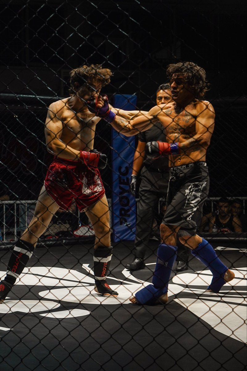 Ramitagram tweet media