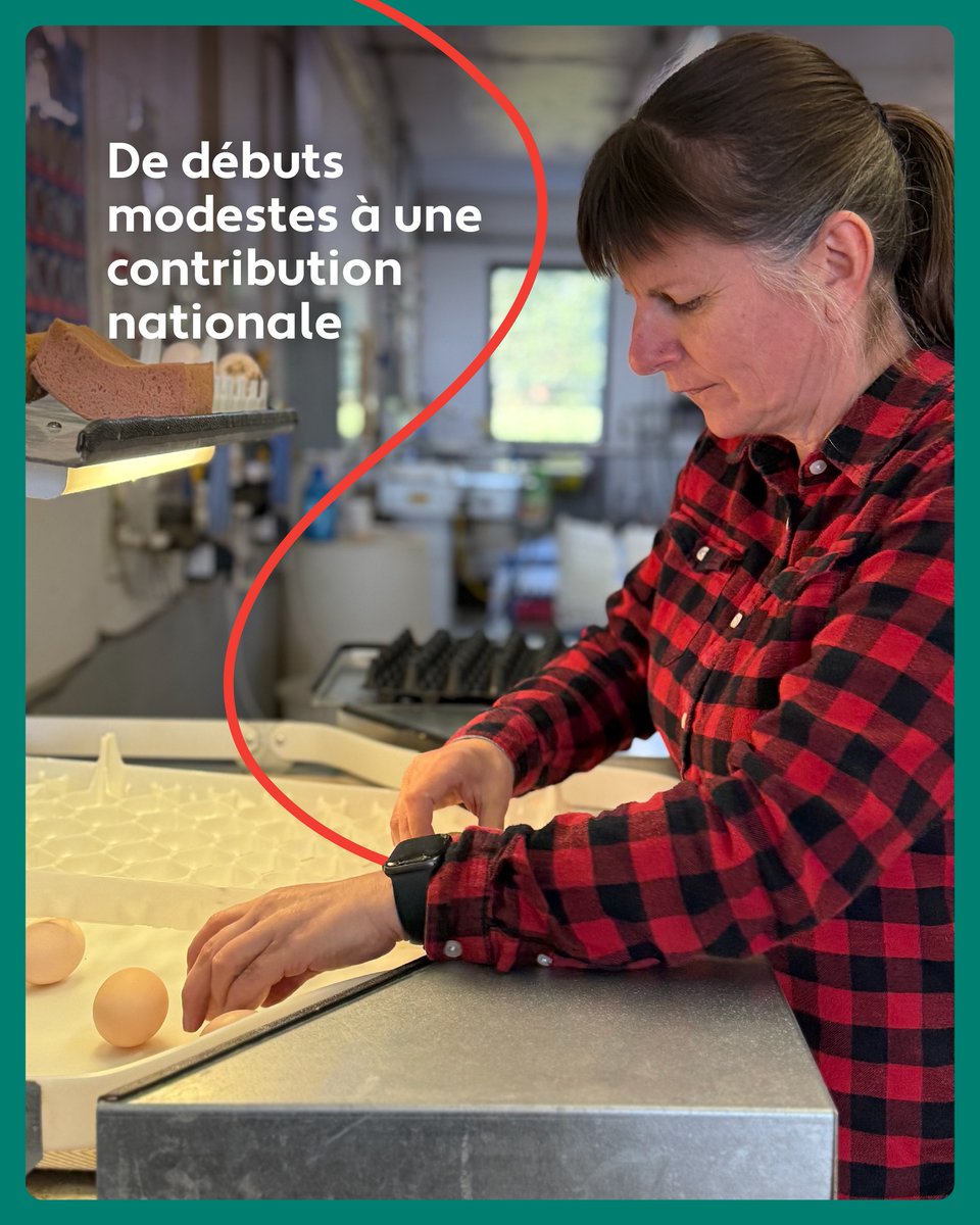 The Canadian Hatching Egg Producers tweet media