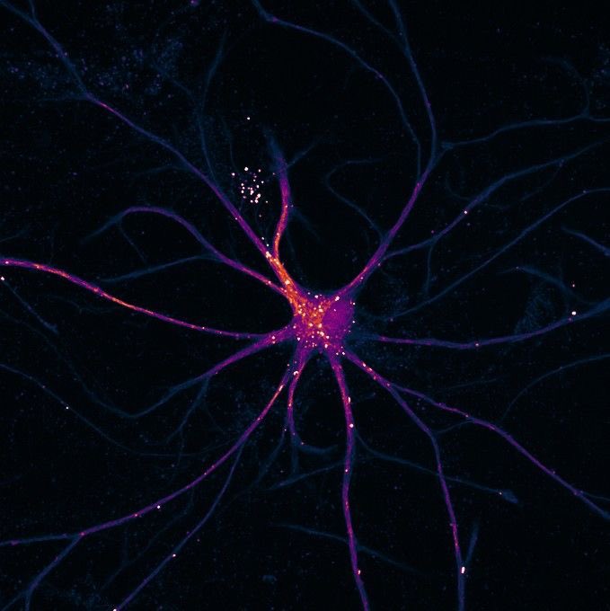 All day Astronomy tweet media