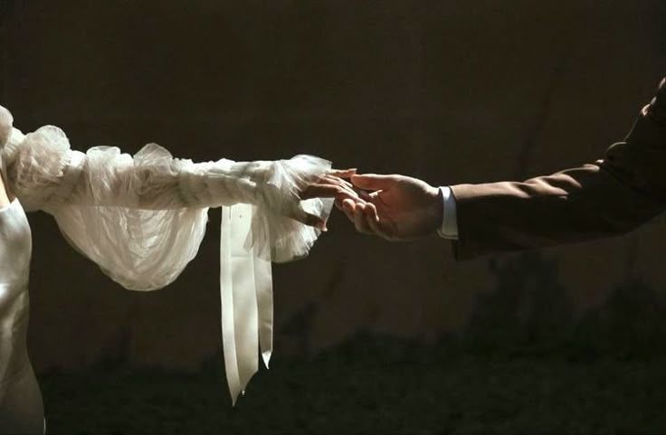 𓃦 ᵎᵎ tweet media