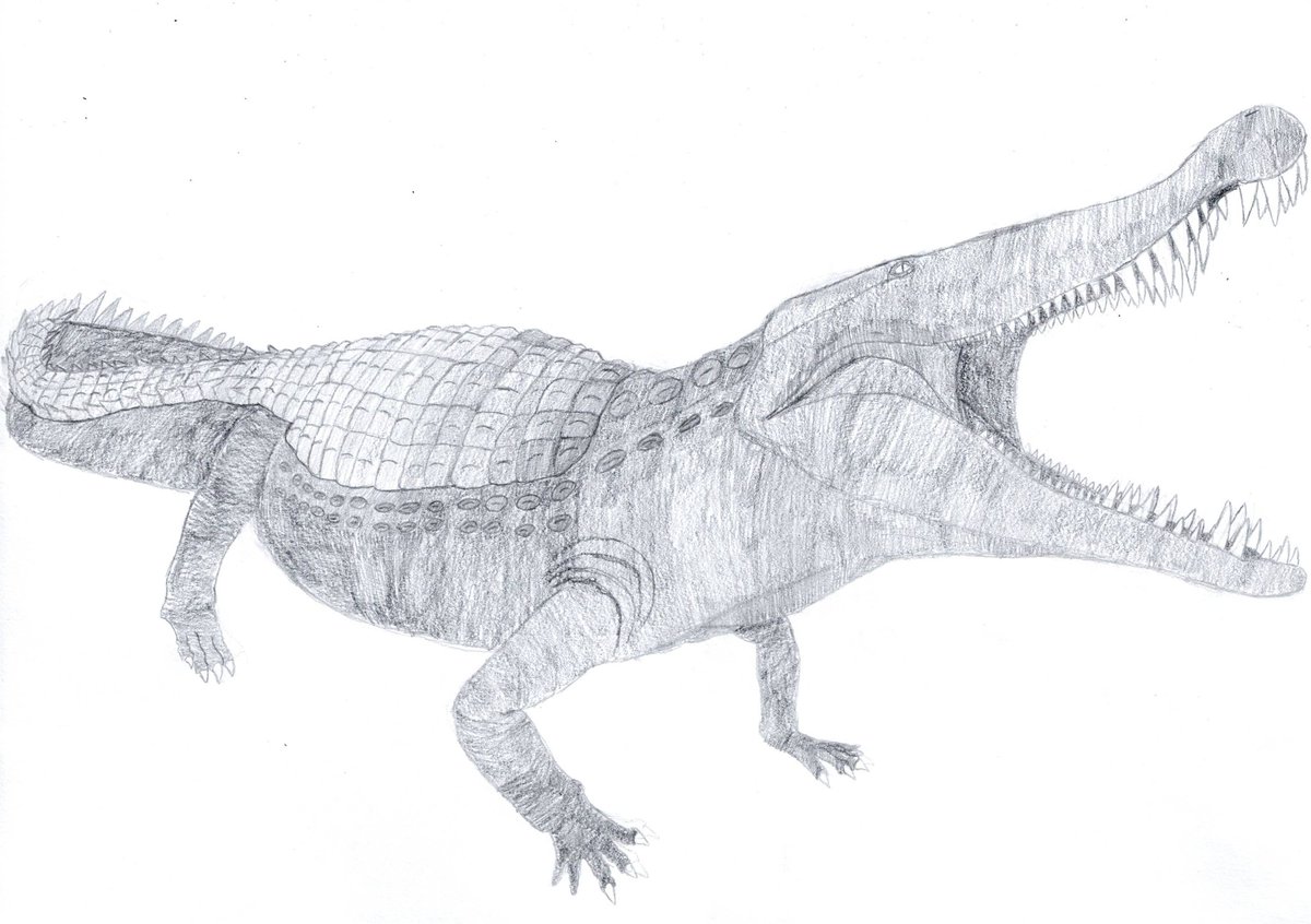TK_dinosaur's tweet photo. #古生物 #デイノスクス #Deinosuchus
Deinosuchus(progress on the way)
デイノスクス(途中経過) https://t.co/V5tyU7Hxf1