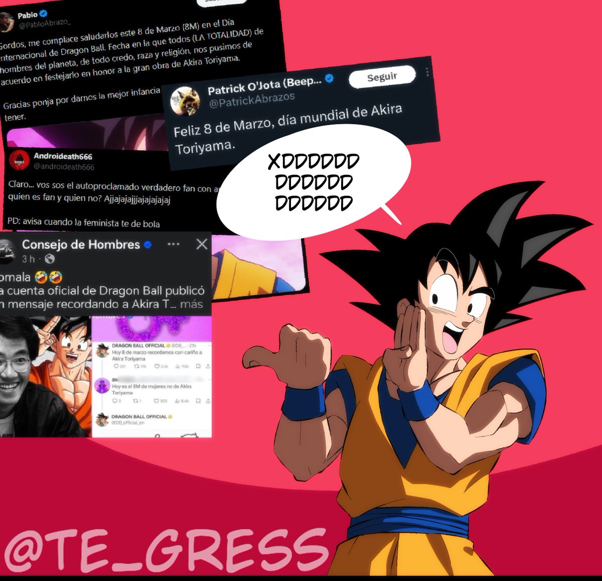 SoyGress tweet media