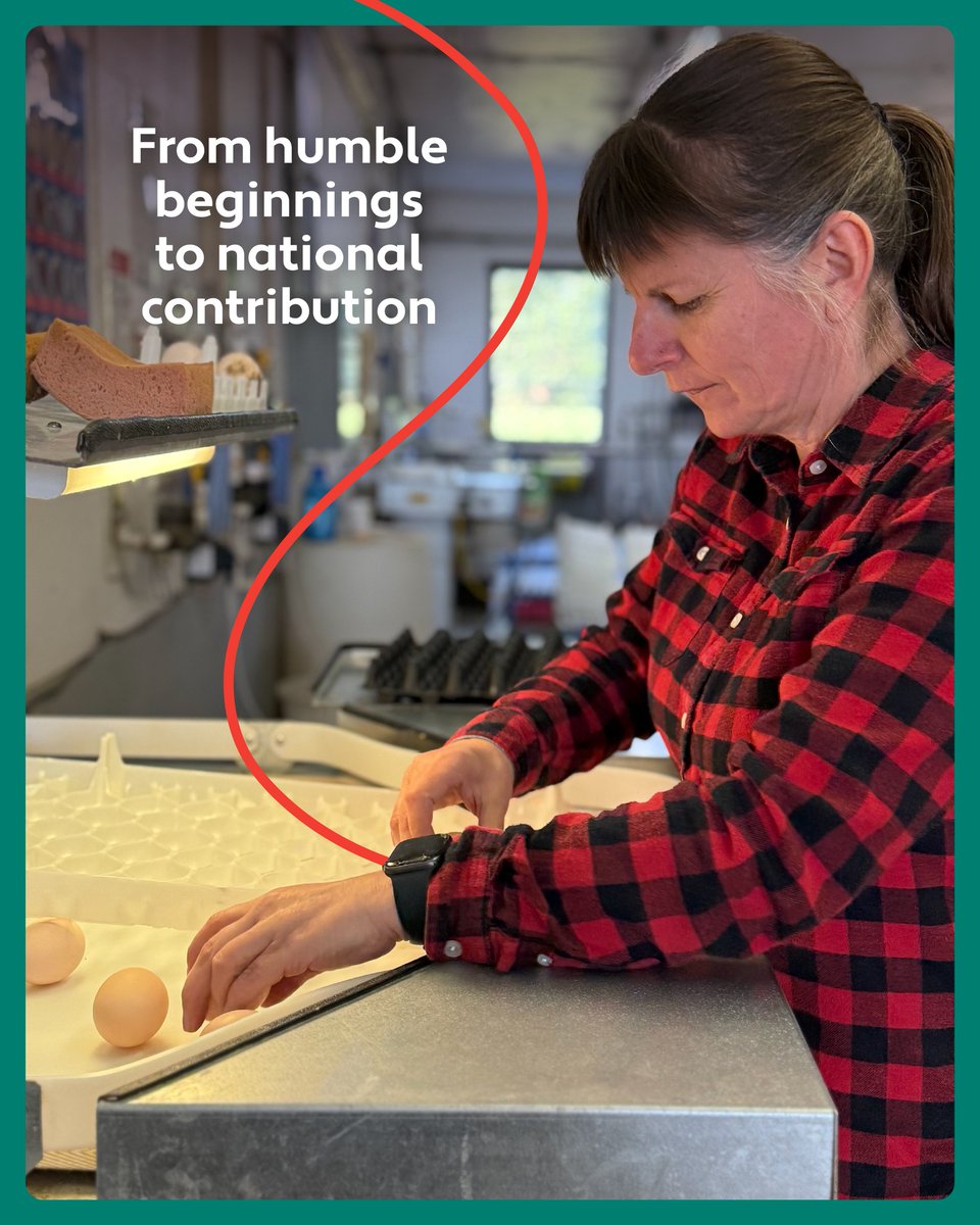 The Canadian Hatching Egg Producers tweet media