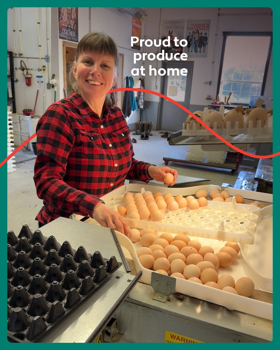 The Canadian Hatching Egg Producers tweet media