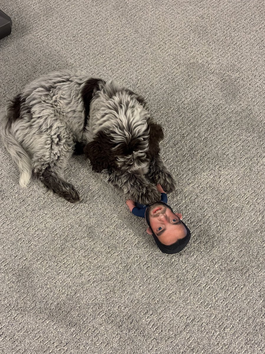 Patrick__B10's tweet photo. The greatest toy of all time according to Rocky @BarstoolBigCat @hen_ease @PardonMyTake https://t.co/zrczNQpN8e