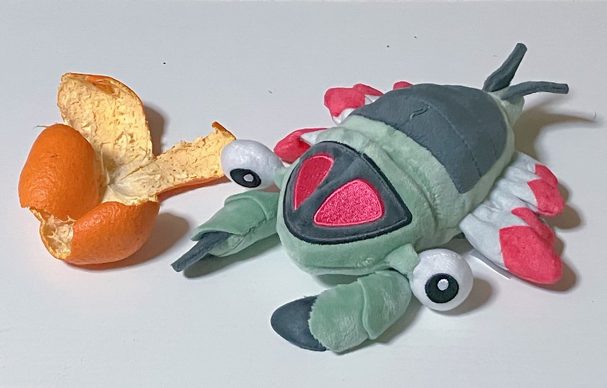 シェルダーとオムナイト tweet media