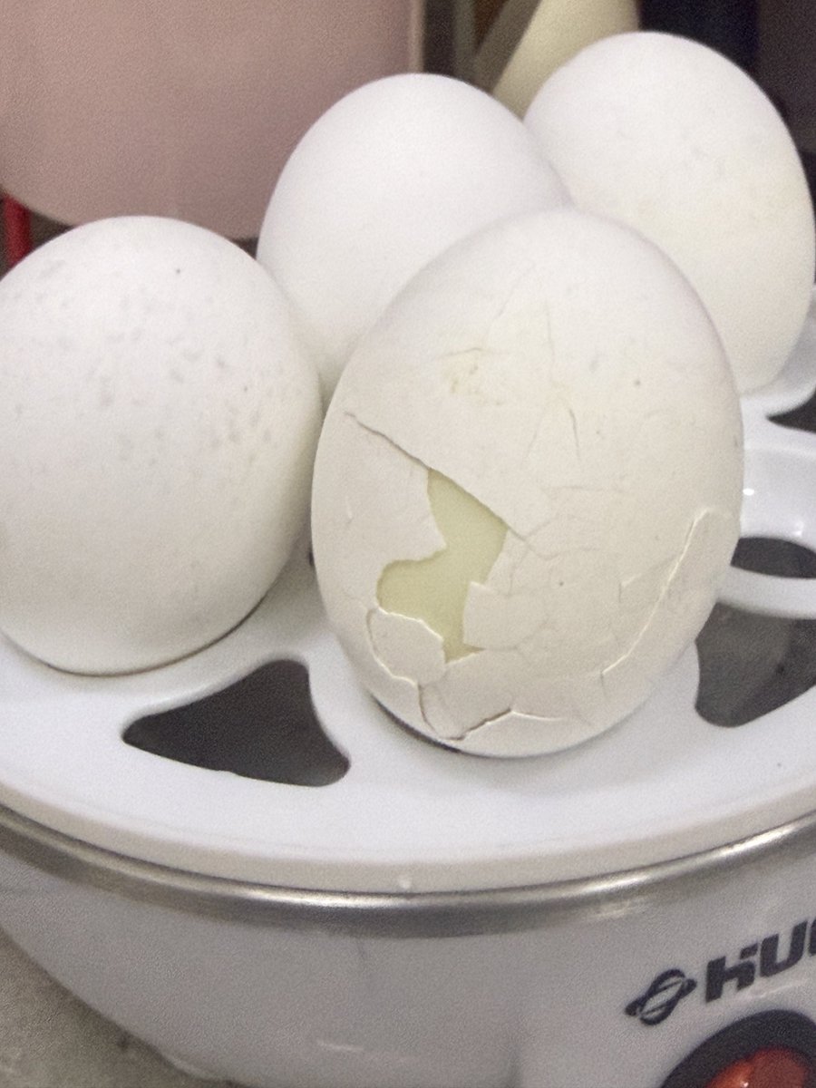 Abby 🍑🌻 | RaStro #IFIF I Fell, It’s Fine tweet media