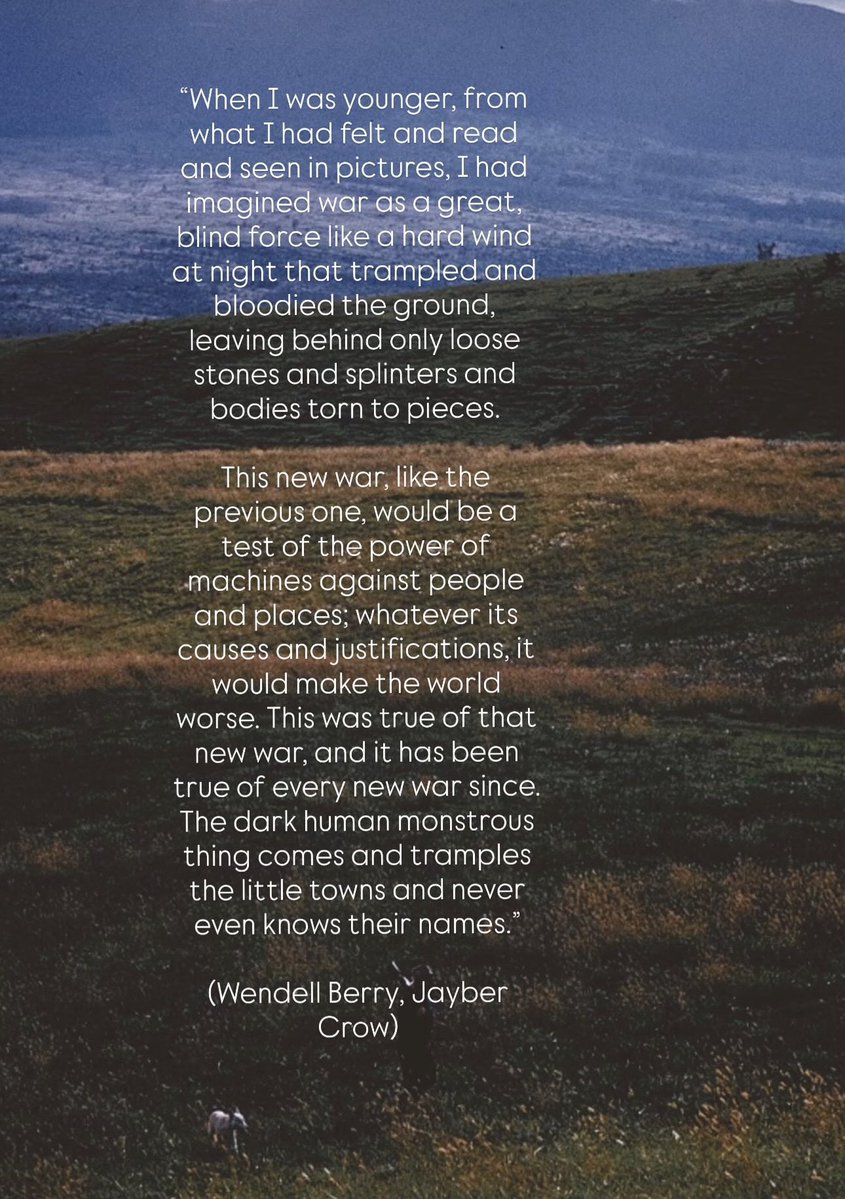 Luke Beling tweet media