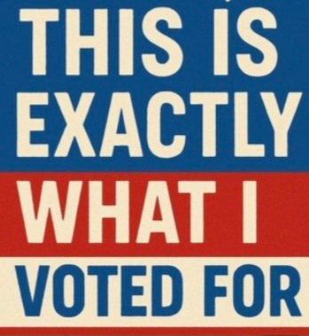 MerMaid15882072's tweet image. #ILLEGALS #ForeignInvaders should have NO VOTING RIGHTS or ANY benefits! Illegal is ILLEGAL!!!