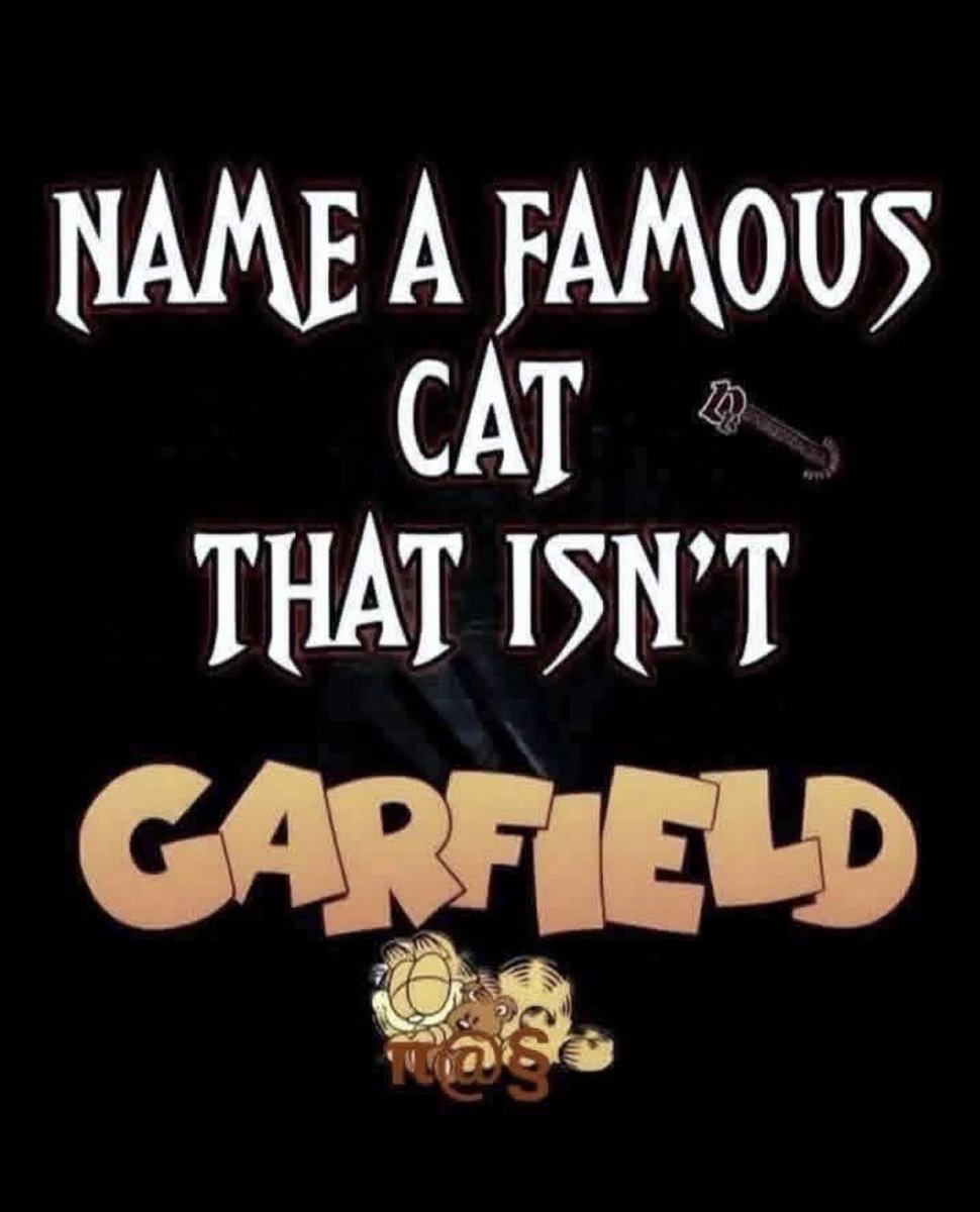 Ladyofyourlife tweet media