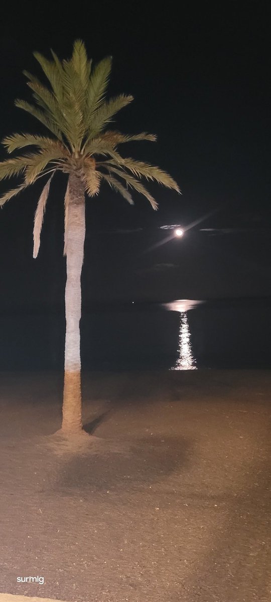 Jose_surmlg's tweet photo. La Luna hoy desde #malaga. https://t.co/x8reEGXsFi