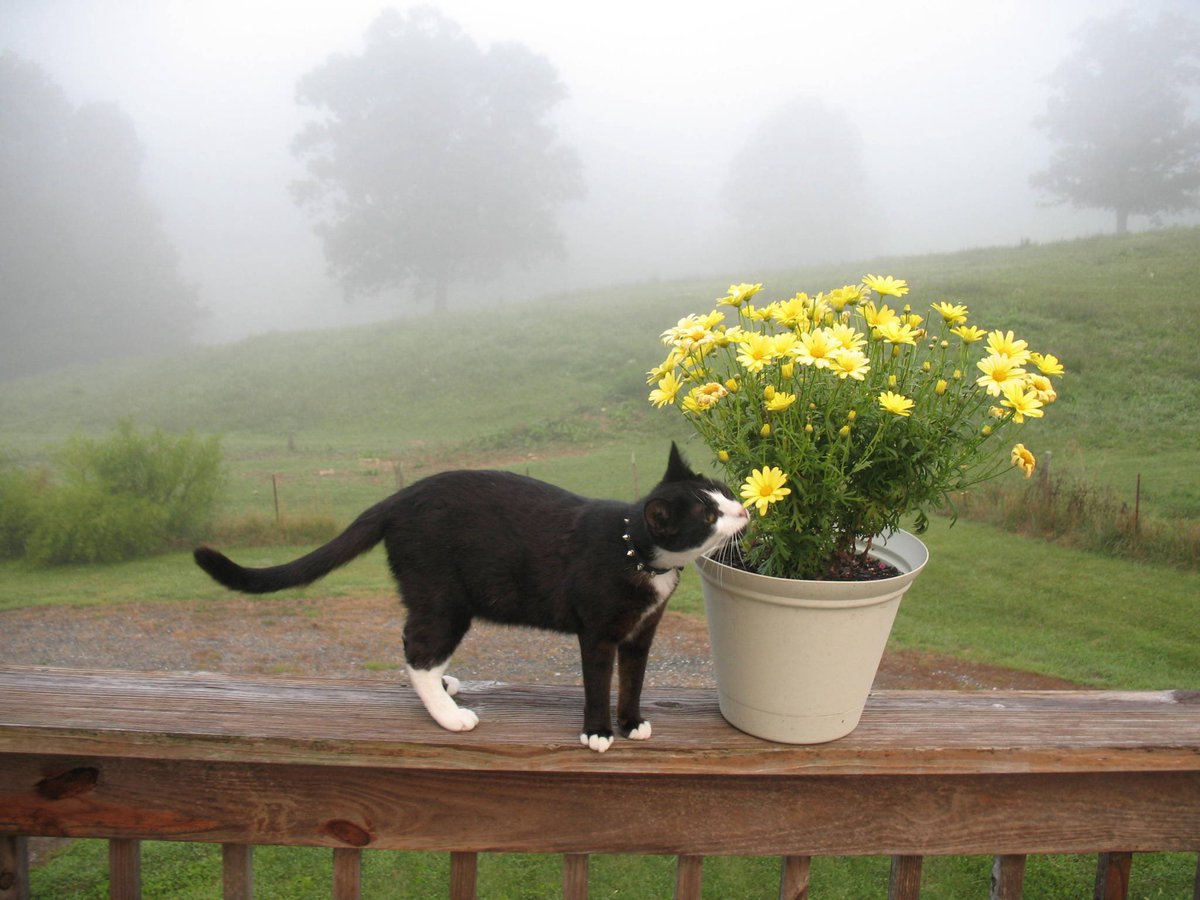 N (@dearvotion) on Twitter photo 