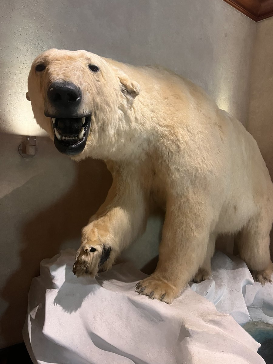 Jason Black tweet media