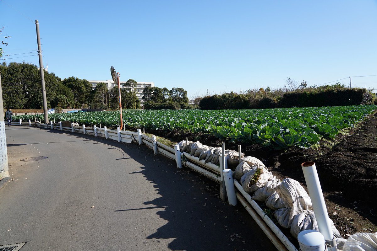 deepannai's tweet photo. 【あなたは本当の横浜を知らない】

すごいぞ横浜市！人口370万人の大都会！！
↓
羽沢横浜国大駅で下車
↓
えっ…

#羽沢横浜国大
#これぞ横浜すっぴん選手権 https://t.co/sobrsKZlBv