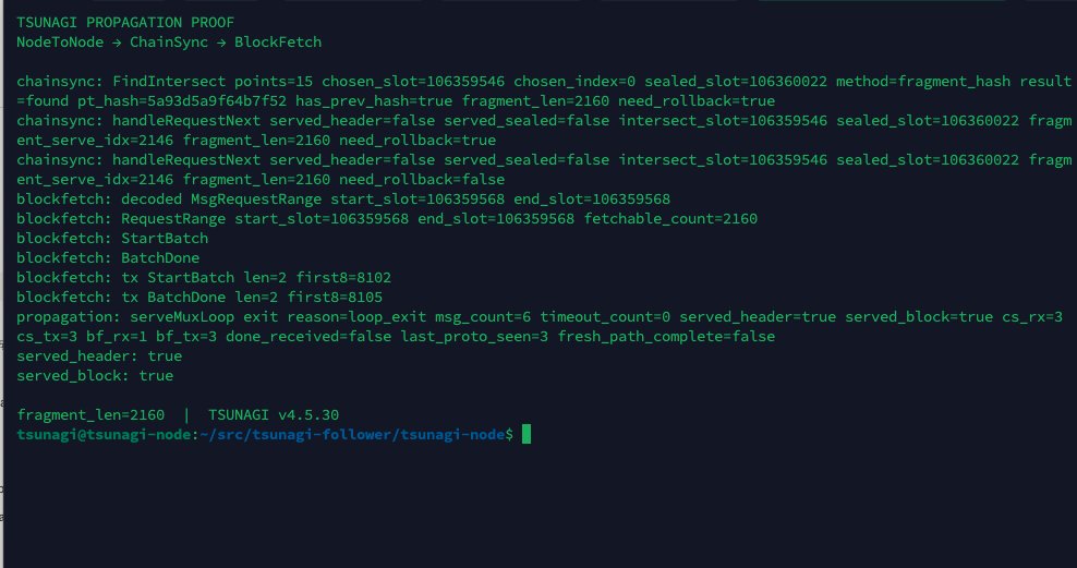ASY 🐱 | Cardano SPO | TSUNAGI tweet media