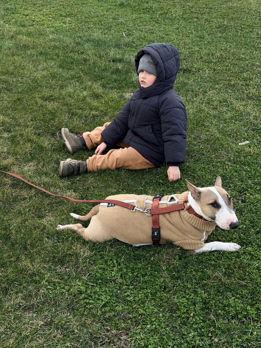 тревожная масса tweet media