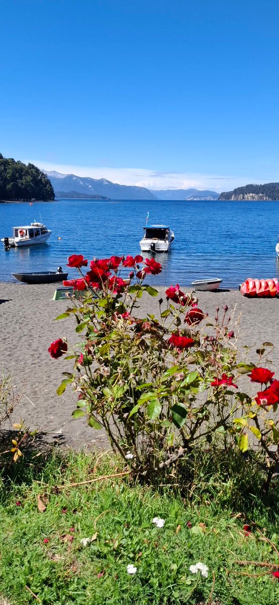 dbm 2025 tweet media