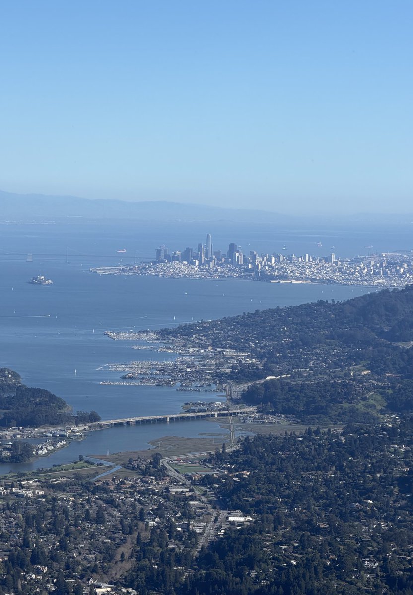 sameel arif tweet media