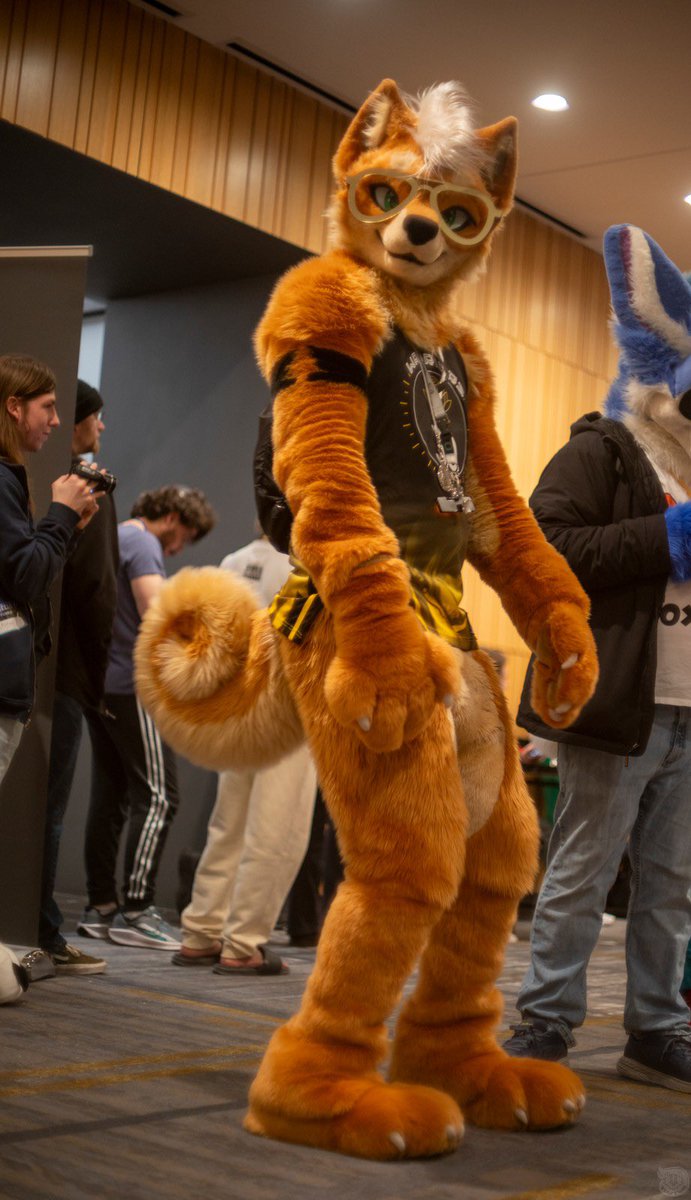 Sheeb 🔜 FWA tweet media