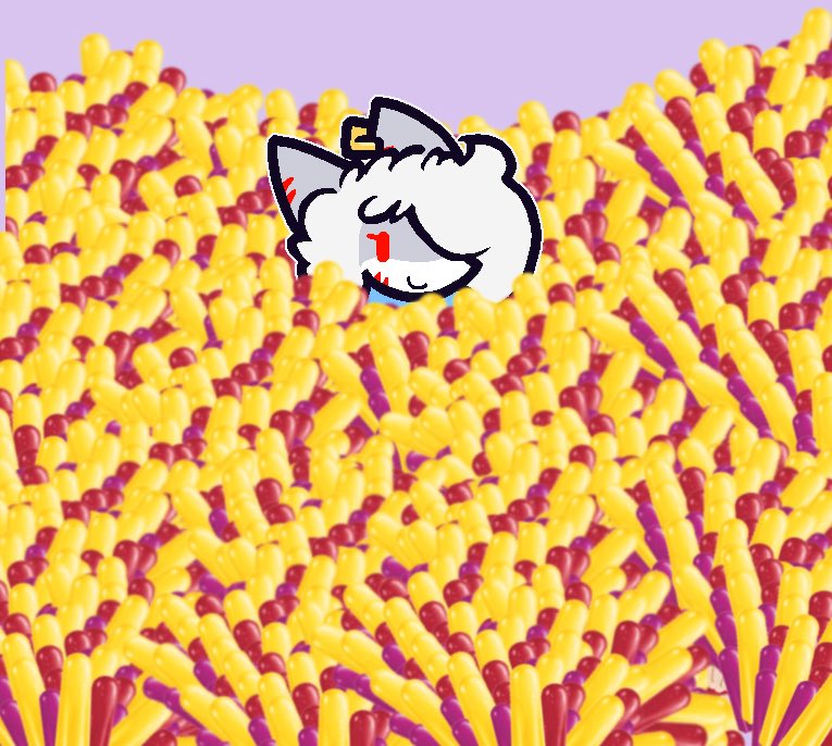 HOLLOWnotHERE tweet media