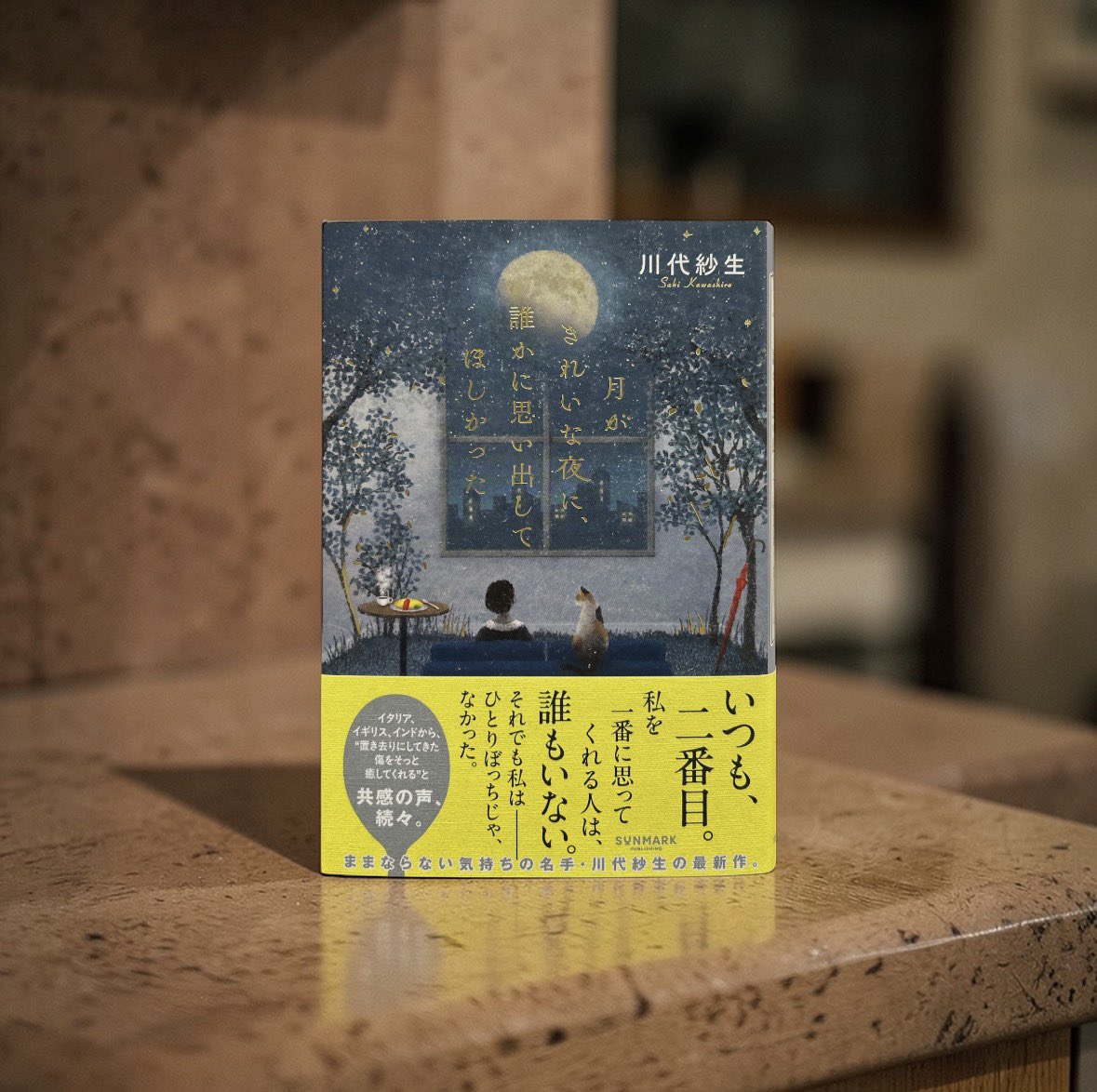 月がきれいな夜に、誰かに思い出してほしかった』の装丁の写真を 