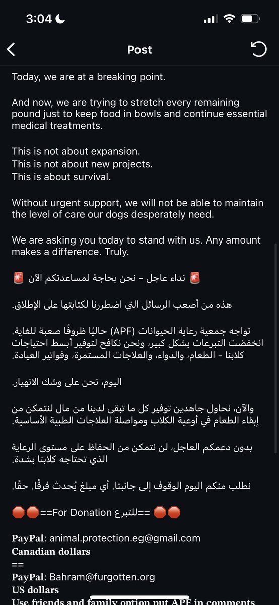 sekseka_'s tweet photo. جماعه الشلتر دا محتاج مساعدتكم هوا فعلاً مكان نضيف و بيهتم بالحيوانات الي فيه جداً جداً بس التبرعات مش كفاية لكمية الحيوانات الي تعبانه و بتتعالج هناك، ياريت بما اننا في رمضان اعتبروها صدقه لله ولو تقدروا تساعدوا يبقي جزاكم الله خير بجد. https://t.co/5GLPkYpdG1