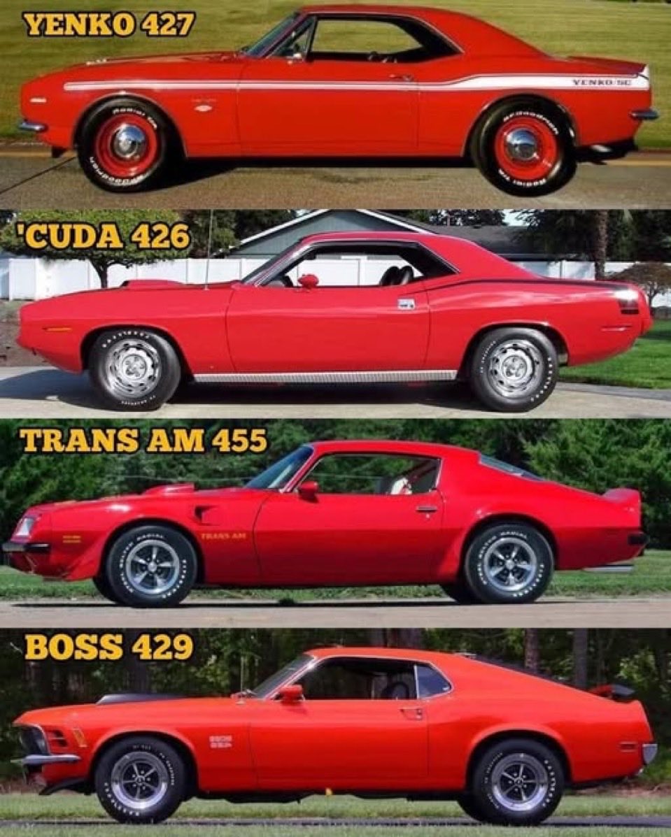 GnosisWolf tweet media