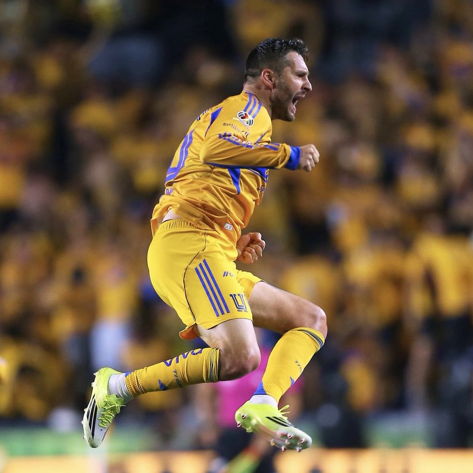 2015 / 2026 

Gracias Gignac