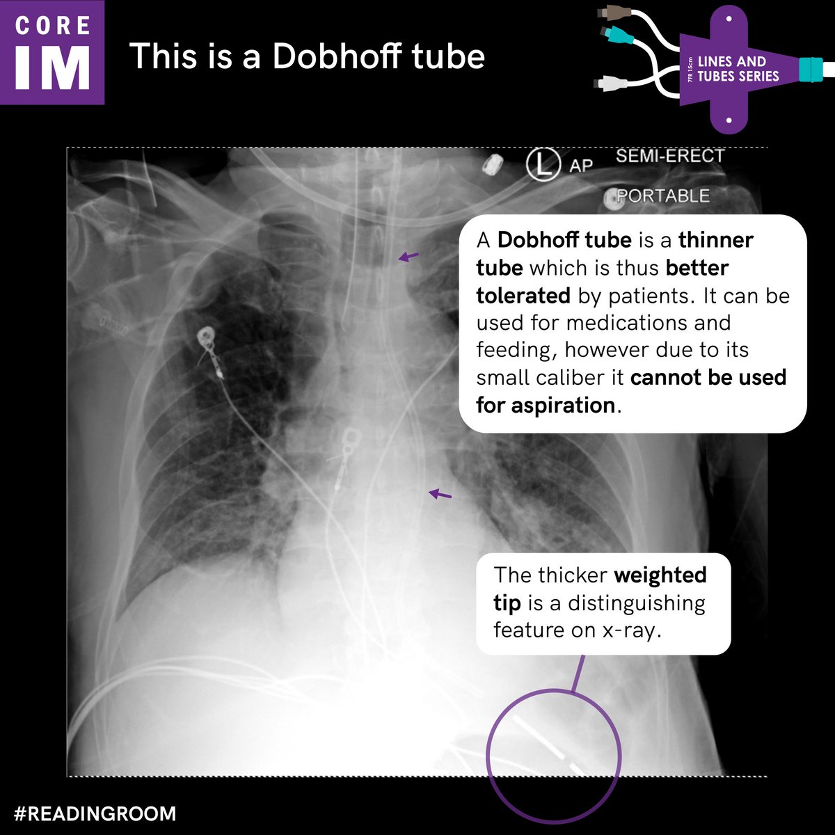 Hassler S. Macías-Sánchez tweet media