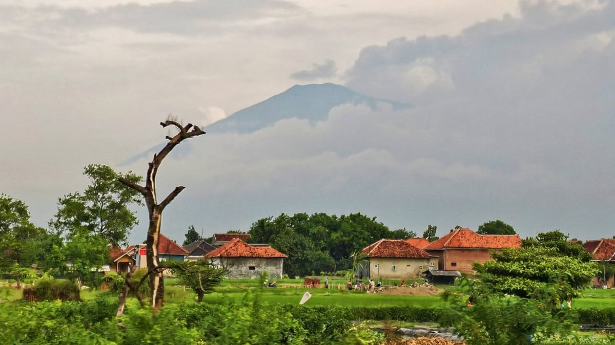 𝒜𝓃𝑔𝒾𝑒 tweet media