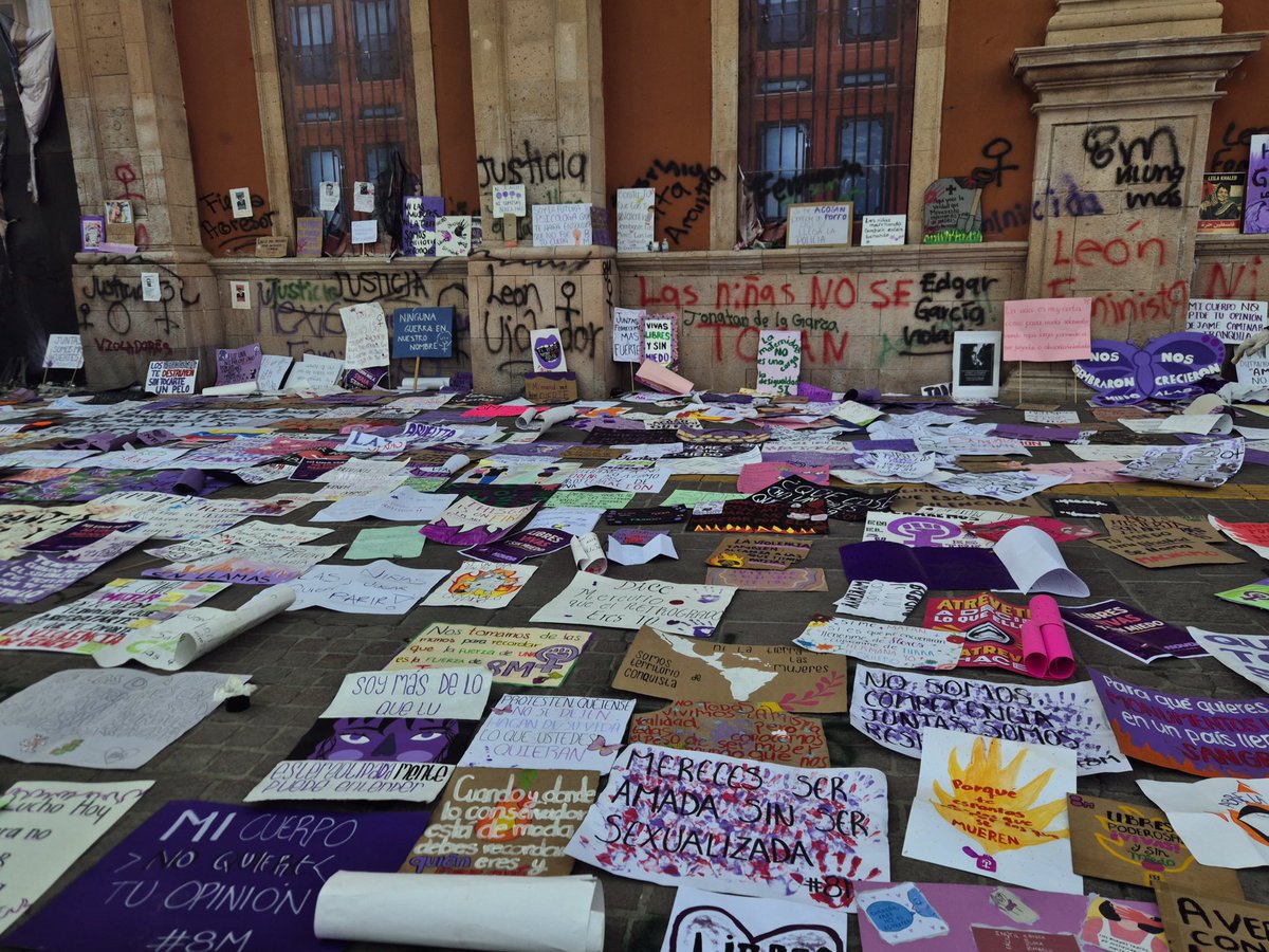 Bajo Fuego tweet media