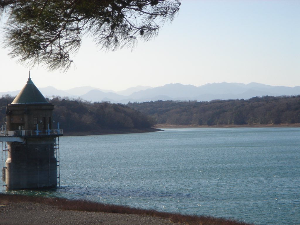 ﾘｯﾁｬﾝ tweet media