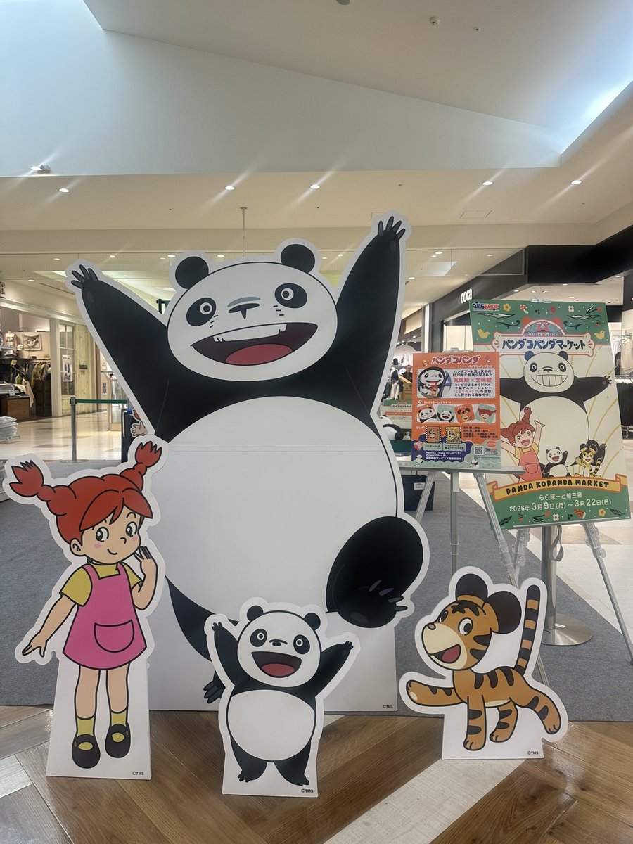パンダコパンダ】 ⋆⸜ 今日から開催🐼 ⸝⋆ 🎉#パンダコパンダ