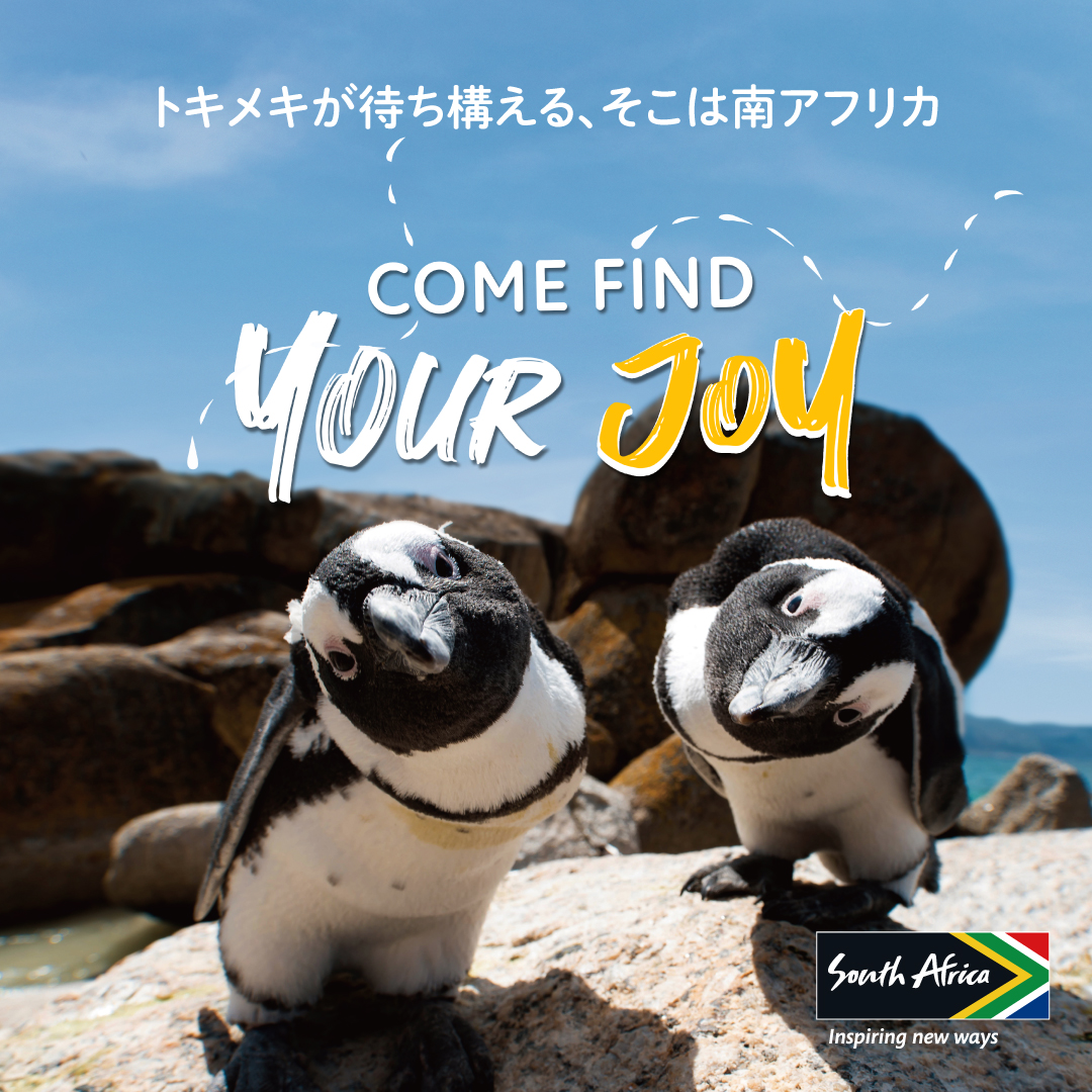 南アフリカ観光局 tweet media