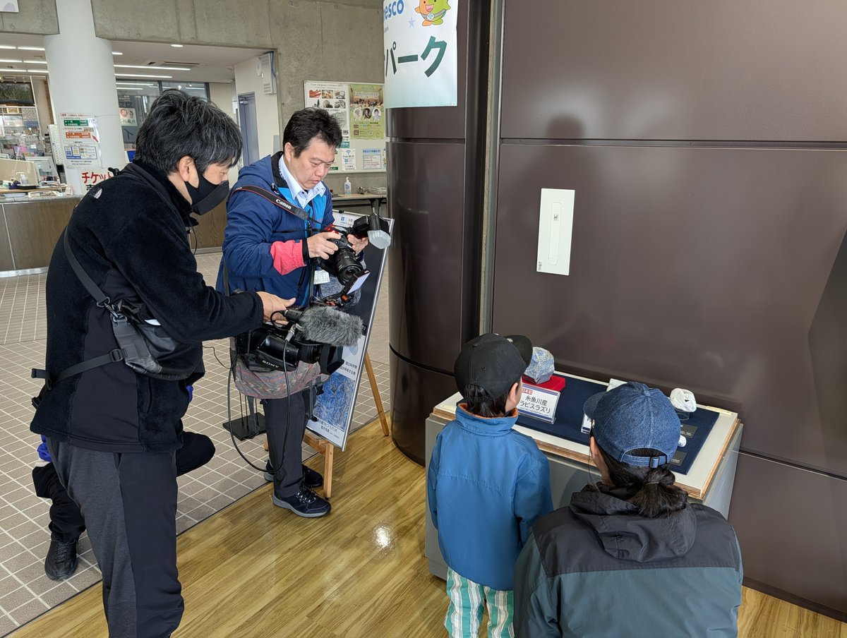【糸魚川産ラピスラズリ展示✨】

土曜日、フォッサマグナミュージアムで日本初ラピスラズリ展の公開セレモニーが行われました！📸

ぜひ8月30日までに、その目でお確かめください。

詳細：geo-itoigawa.com/topics/25735/

#糸魚川 #糸魚川ジオパーク #ラピスラズリ #新発見