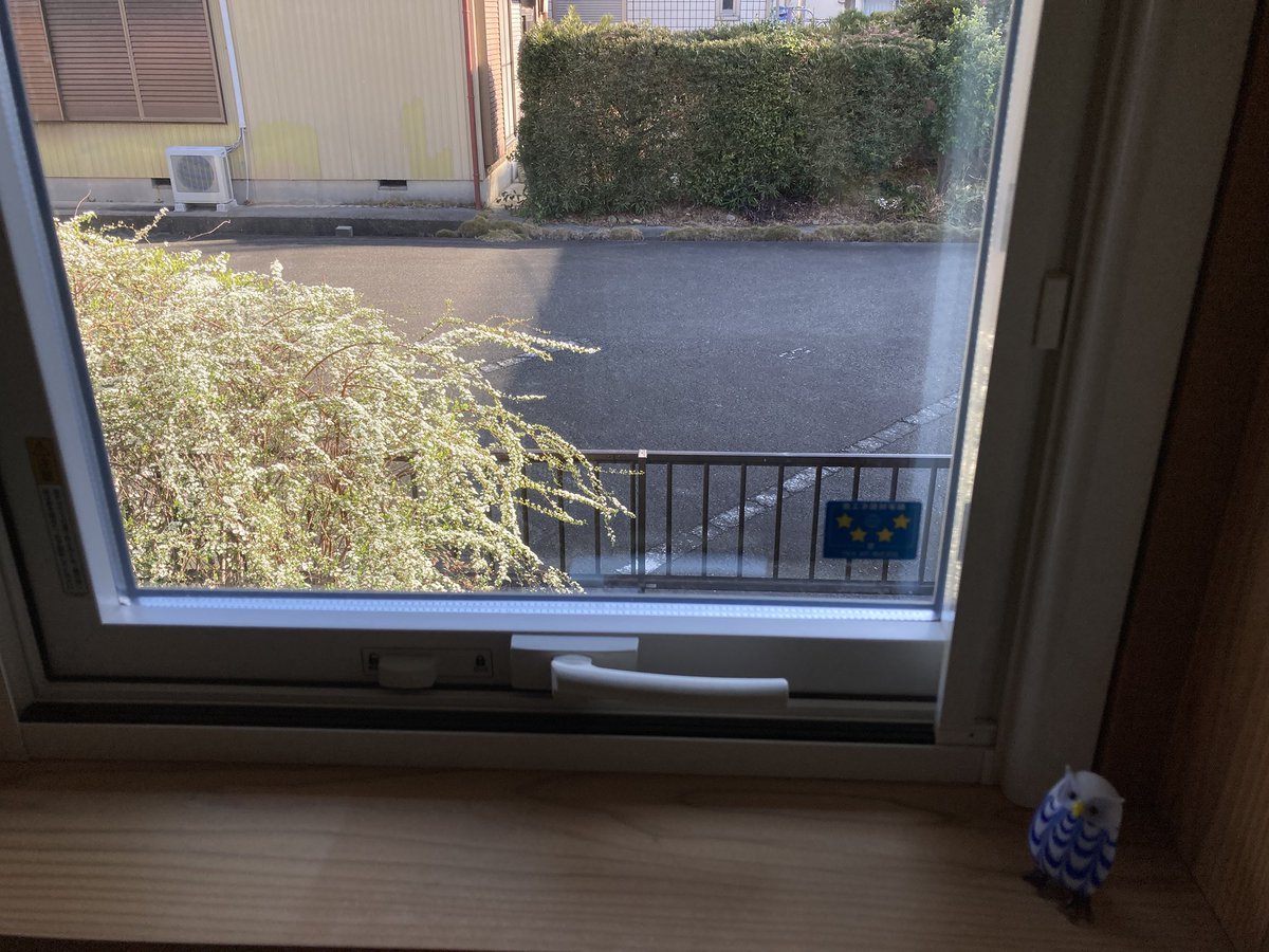 8c0kthwJu's tweet photo. 雪柳が見頃になりました
朝日に照らされキレイ！
洗面の窓からも見えるので歯磨きしながら春を感じます https://t.co/mumlwHPW4l