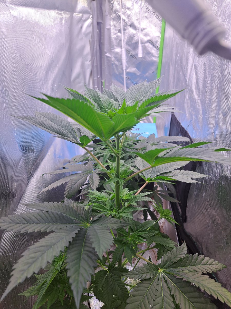 #--R--H😎E--C--# tweet media