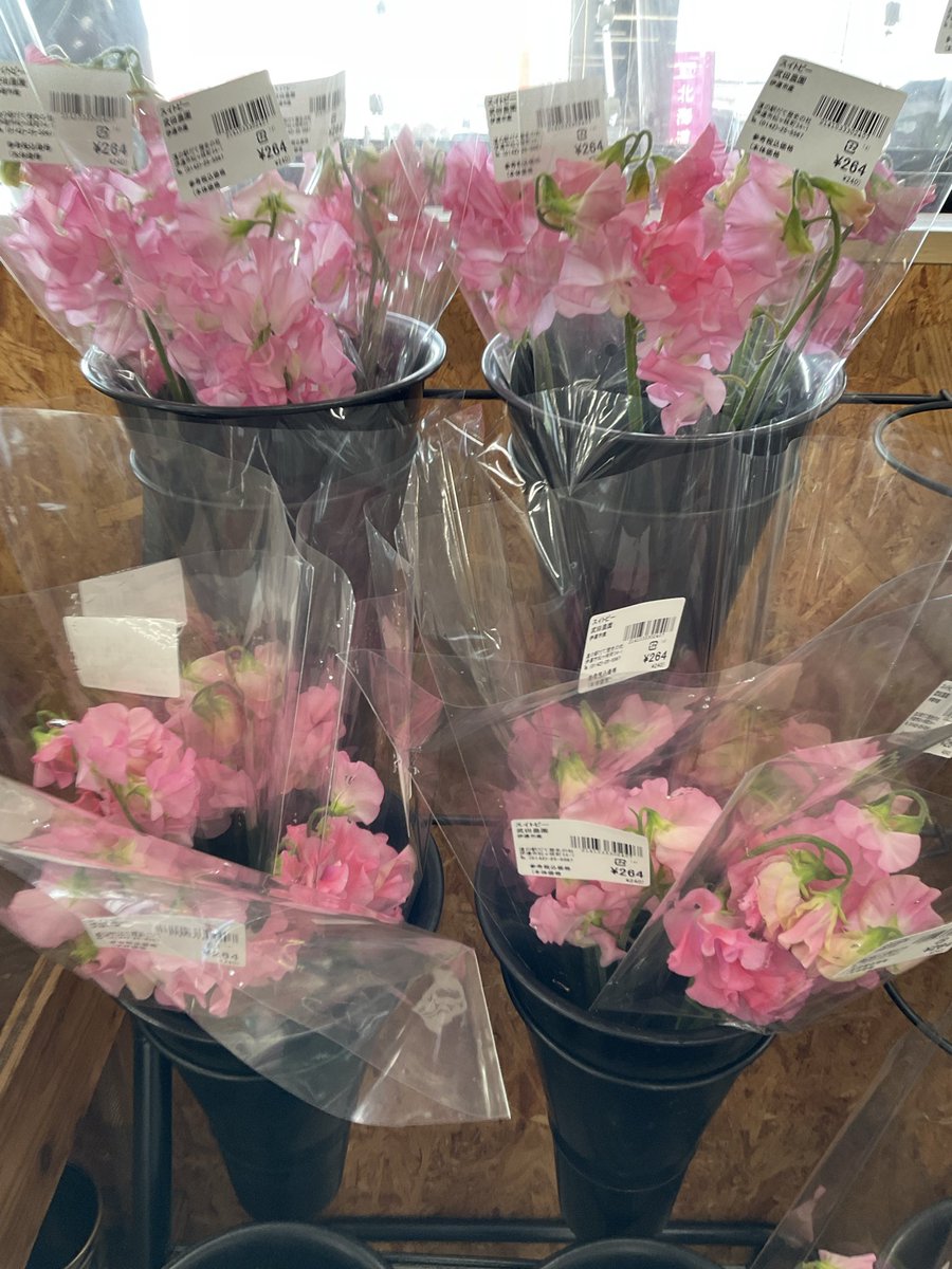 伊達市観光物産館 tweet media