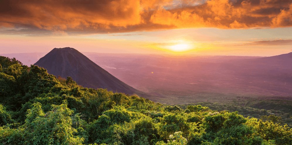 ☣️ Pleb Kruse = BTC foundationalist in exile 🟩🔆 tweet media