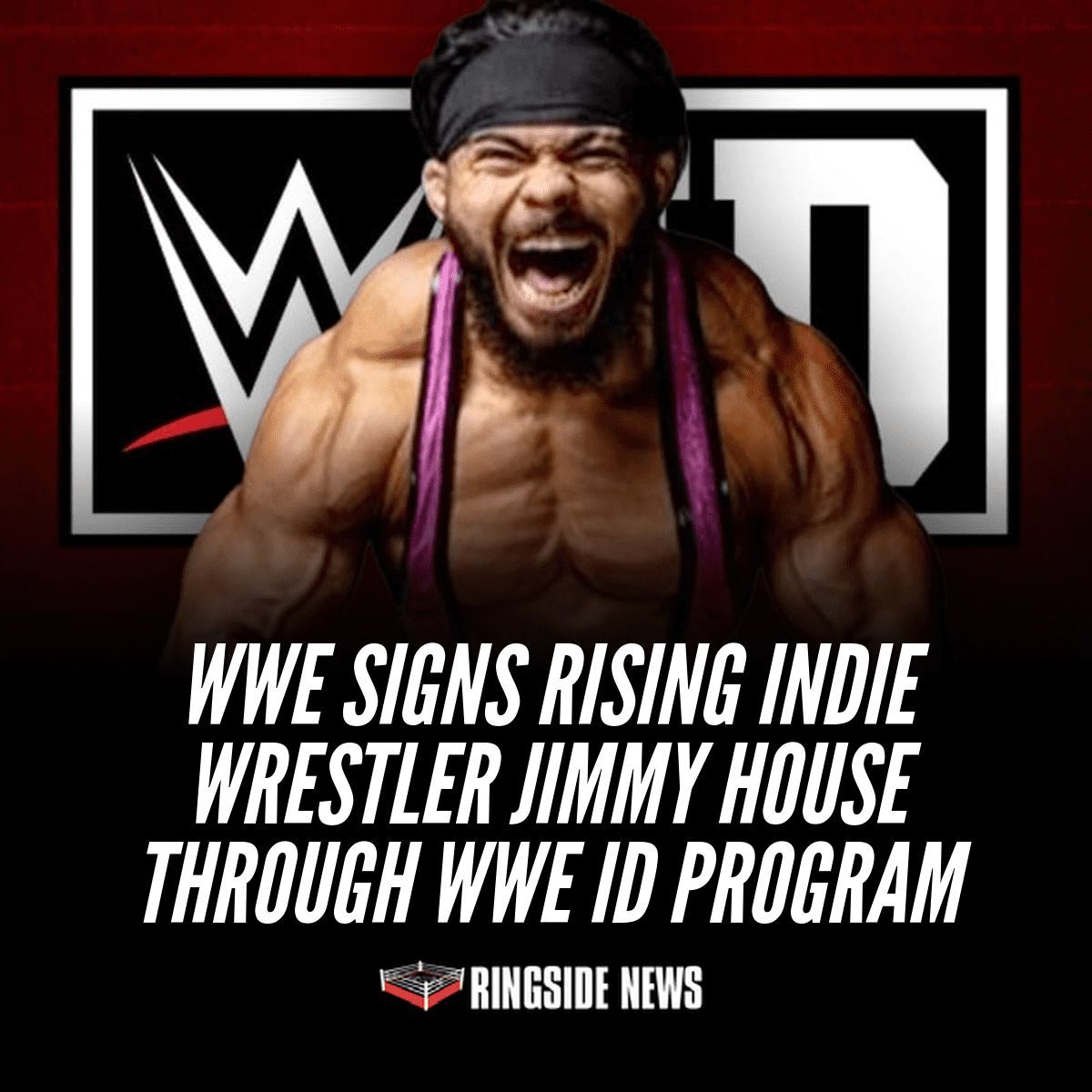 PWStream tweet media