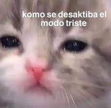 Tex Summers tweet media