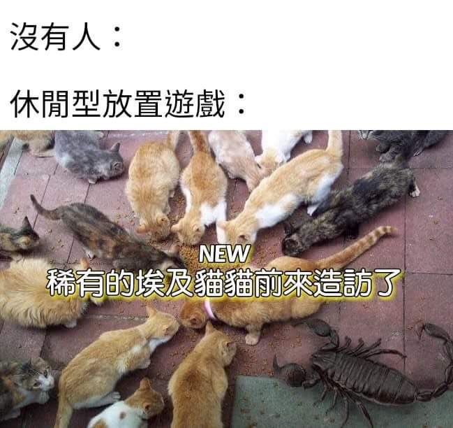 The蠍蠍 tweet media