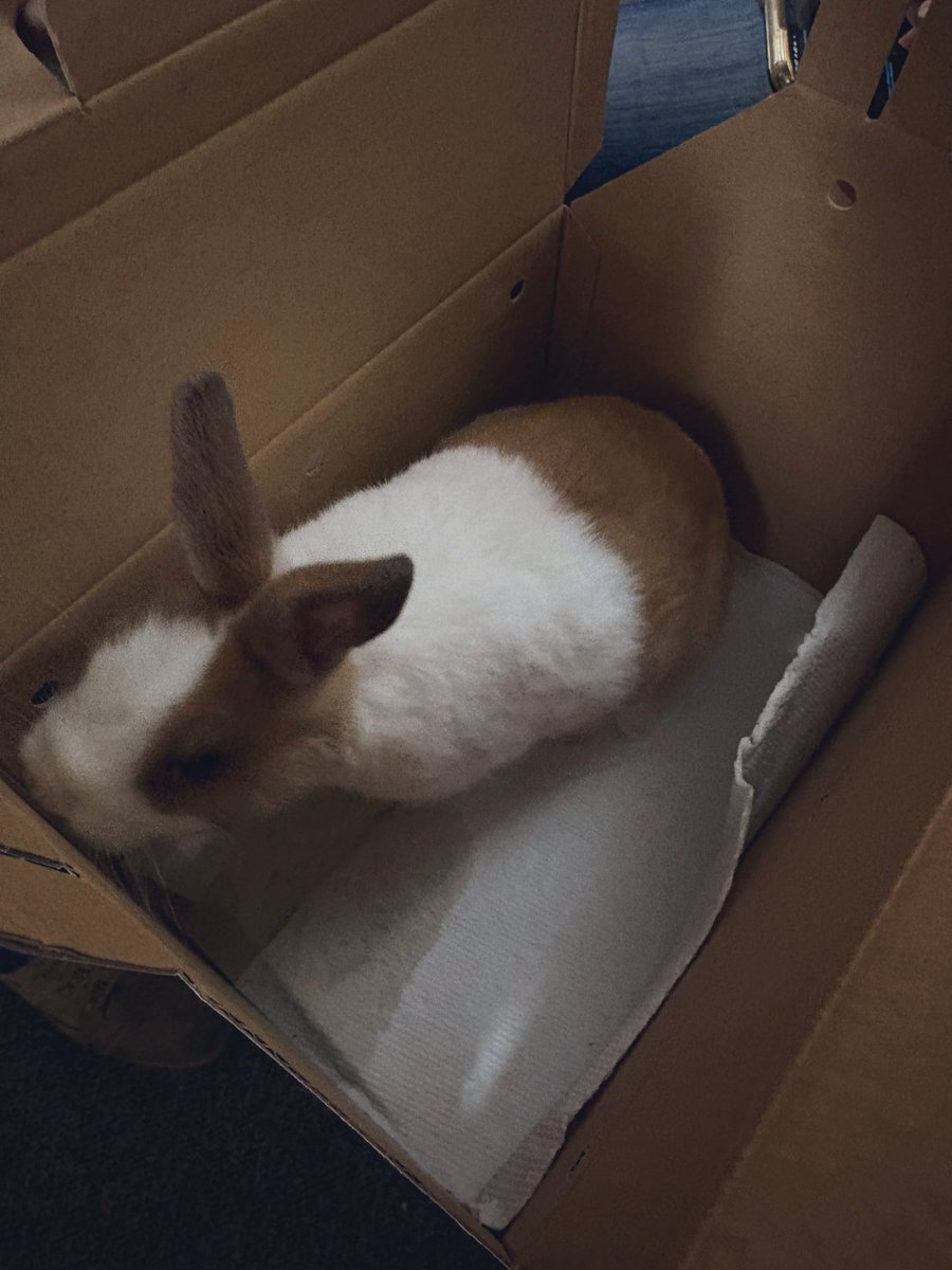 Liz wants weightloss tweet media