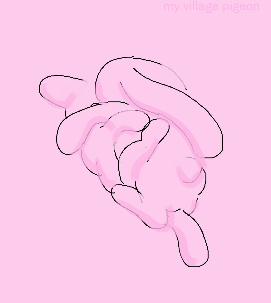 VillagePigeon tweet media