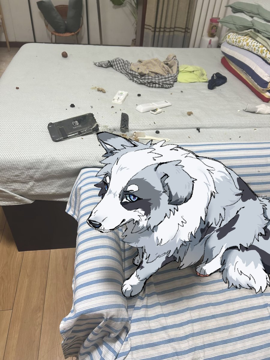 Yomi_柚米 tweet media