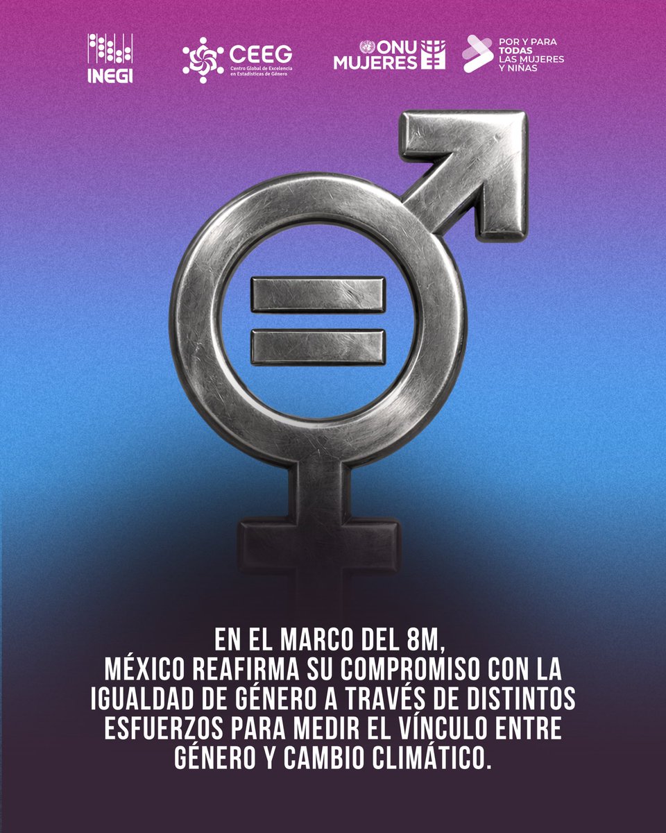 ONU Mujeres México tweet media