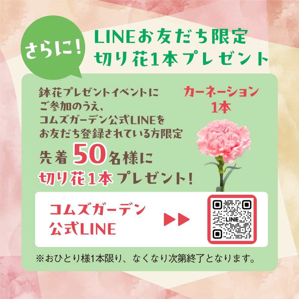 コムズガーデン【公式】 tweet media