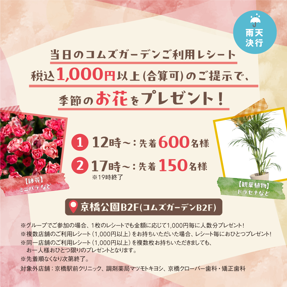 コムズガーデン【公式】 tweet media