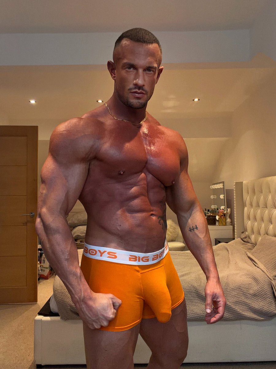 ✨𝘼𝙋𝙊𝙇𝙇𝙊 𝙎𝙏𝙀𝙀𝙇 ✨ tweet media